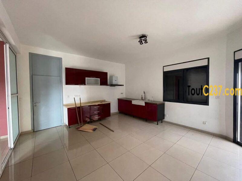 Appartement de 4 chambres à louer à Bonapriso
