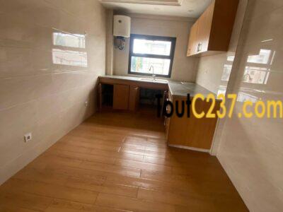 Appartement de 4 chambres à louer à Bonapriso, Douala