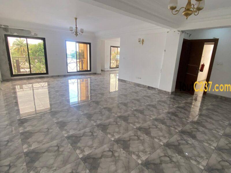 Appartement de 4 chambres à louer à Bonapriso, Douala
