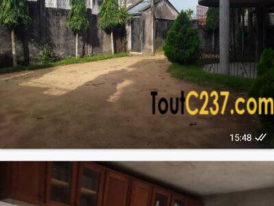 Duplex à vendre à Douala, Logpom