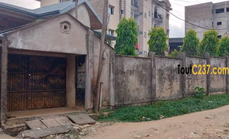 Duplex à vendre à Douala, Logpom