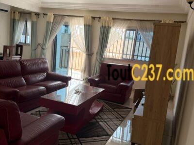 Appartement meublé à louer à Bonapriso, Douala